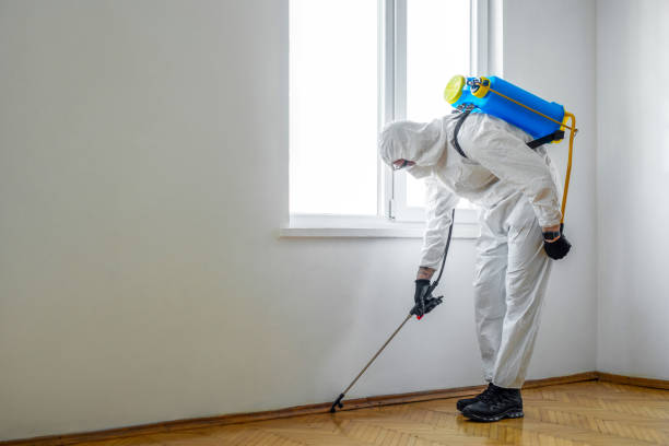 Pest Control for Hotels in Huntingdon, PA